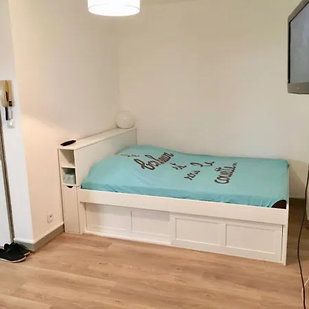 Chaleureux En Centre De Poitiers